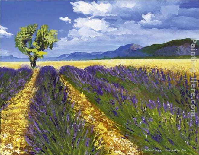 Talantbek Chekirov Lavendelfeld mit Baum